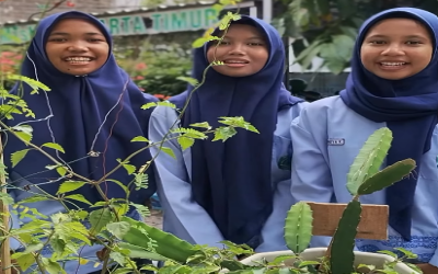 SERUNYA OUTDOOR LEARNING: Murid MTsN 17 Jakarta Praktik Observasi Buah Naga